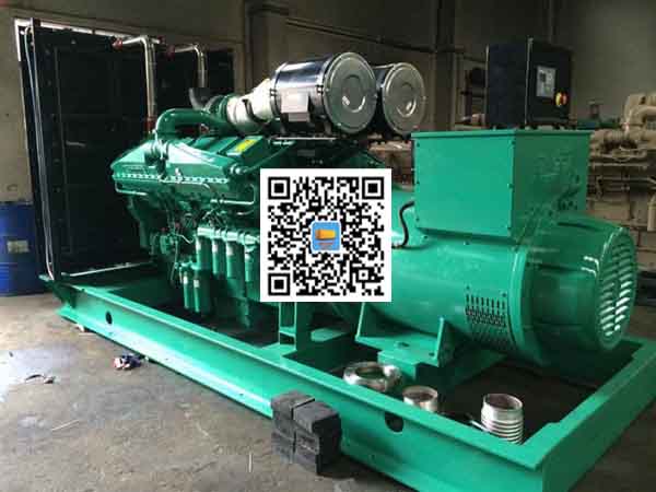 平果发电机出租-发电机大修后应作哪些试验